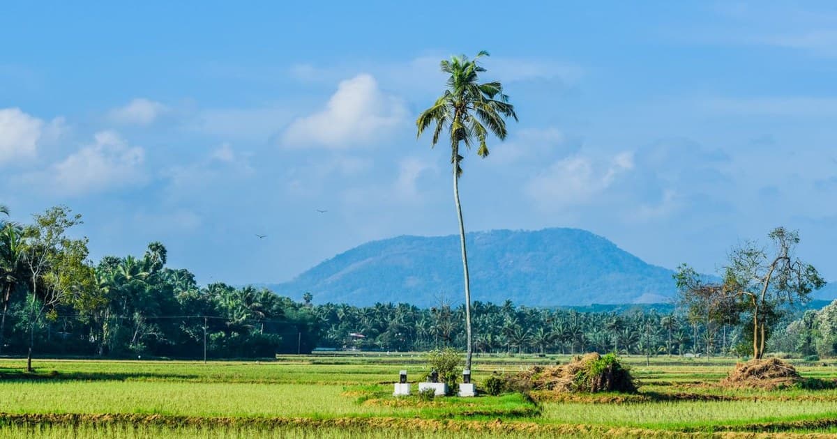 Property Title Verification and Registration in Kerala: A Buyer's Legal Due Diligence Guide